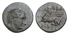 Ancient Coins - THRACE, Abdera. Circa 250-150 BC. Æ (18.5mm, 3,84g,). Bare head of male right / Griffin lying left.