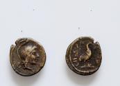 Ancient Coins - Greek Bronze coin ? , Roman  Provincial ? AE16mm 2,3g. Athena ? Ares ? Bird ? Eagle ? Uncertain Very Rare !