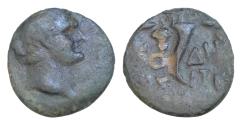 Ancient Coins - Domitian Æ 19mm 4,3g of Odessus, Moesia Inferior. AD 81-96. Laureate head to right / Cornucopiae; bunch of grapes to left,