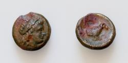 Ancient Coins - Greek Bronze coin Uncertain Unpublished (Circa 400-300 BC). AE14mm  3g.  Forepart of ram right .Laureate head of Apollo right.