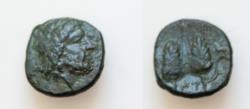 Ancient Coins - Southern Lucania, Metapontion, c. 300-250 BC. Æ (14,5mm, 2.9g). Laureate head of Zeus r. R/ Two barley-ears with leaf on outside of stalk.
