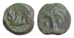 Ancient Coins - CARTHAGE. Circa 340-320 BC. Æ 16mm (3.84gm). Sicilian mint. Palm tree / Pegasos flying left.