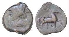 Ancient Coins - Zeugitania, Carthage. Second Punic War. AE Shekel (21 mm, 7.86 g), c. 264-241 BC. Head of Tanit to left, wearing wreath of grain ears and single-pendant earring.  Horse