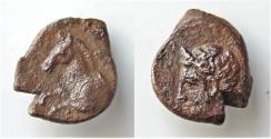 Ancient Coins - Sicily, Panormos as Ziz, c. 336-330 BC. Æ (15mm, 2,7g,). Laureate head of Apollo l. R/ Forepart of horse l. CNS I, Very Fin ! Rare.