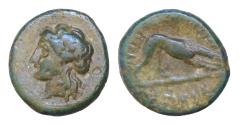 Ancient Coins - CAMPANIA, Nuceria Alfaterna. Circa 250-225 BC. Æ 7mm (3,2 gm). Young male head left / Dog feeding right.