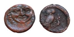 Ancient Coins - Sicily, Kamarina, c. 420-405 BC. Æ Onkia (10mm, 1.2g, ). Facing gorgoneion. R/ Owl standing r., head facing, grasping lizard in talons; pellet in exergue.