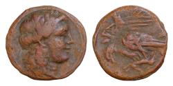 Ancient Coins - Sicily, Akragas, c. 275-240 BC. Æ (19mm, 4.54g, ). Laureate head of Apollo r. R/ Two eagles standing l., devouring hare