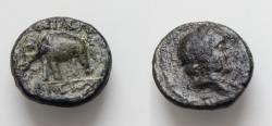 Ancient Coins - Seleukid Kingdom. Sardeis. Antiochos III Megas 223-187 BC. Bronze Æ 14mm., 2,7g. Laureate head of Apollo right / [BAΣ]IΛEΩΣ [ANTIOXOΥ], elephant advancing left