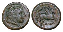 Ancient Coins - Anonymous. Circa 235 BC. Æ Double Litra (19mm, 7,5g, ). Rome mint. Head of Hercules right, wearing lion's skin; club below / Pegasus right; club above, ROMA below.