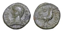 Ancient Coins - PISIDIA. Antioch. Pseudo-autonomous issue, 138-161. AE12 mm 1,5g ANTIOCHIA Draped bust of Mercury/Hermes left.  COLONIA Cock standing left. Good very fine.
