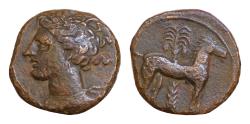 Ancient Coins - CARTHAGE. Circa 400-350 BC. Æ Unit (15mm, 2,7g,). Carthage mint. Wreathed head of Tanit left / Horse standing right; palm tree in background. CNP 194; MAA 18; SNG Copenhagen (Af