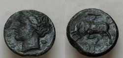 Ancient Coins - Syracuse, Hieron II (275-215), Bronze, c. 275-265 BC; AE18,5g. 5,6g.  wreathed head of Persephone l.; behind, poppy head, Rv. Bull charging l.; above, club and ; in ex
