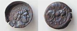 Ancient Coins - Sicily. Gela. Circa 420-405 BC. Tetras Bronze, ΓΕΛΑΣ Bull walking slowly to the left; above, olive leaf; ithree pellets. Rev. Head of youthful male river god to right (Gelas)