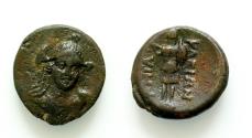 Ancient Coins - LUCANIA, Herakleia. 3rd  centuries BC. Æ (14mm, 2.4g,). Helmeted head of Athena facing slightly right; spear to right / Trophy