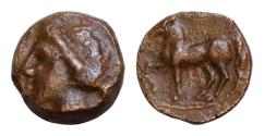 Ancient Coins - Sicily, Eryx. AE 14mm 3g Circa 330-260 BC. Æ Bronze. Wreathed head of Tanit left; shell behind neck / Horse prancing right.