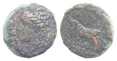 Ancient Coins - SICILY, Tauromenion. Circa 339/8-336 BC. Æ Hemilitron 24mm, 14.6 g, . Laureate head of Apollo Archagetas left / Man-headed bull standing left; grape bunch to left.