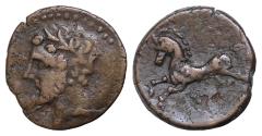 Ancient Coins - KINGS OF NUMIDIA. Massinissa or Micipsa, 203-148 BC or 148-118 BC. AE Bronze, 25mm, 10g, . Laureate head of Massinissa or Micipsa to left. Horse galloping left