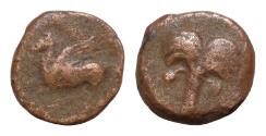 Ancient Coins - CARTHAGE. Circa 340-320 BC. Æ 15mm (3.24gm). Sicilian mint. Palm tree / Pegasos flying left. Calciati III pg. 386, 16; SNG Copenhagen 107. VF,