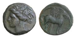 Ancient Coins - CARTHAGE. c. 400-350 BC. Æ Unit 15,5mm, 2g,  Carthage mint. Wreathed head of Tanit left / Horse standing right; palm tree in background; to right,