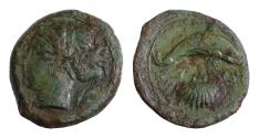 Ancient Coins - Sicily. Syracuse 405-367 BC. Hemilitron Æ 16mm., 3g. Head of Arethusa left; laurel branch behind / Dolphin right; cockle shell below.