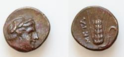 Ancient Coins - Lucania, Bronze, Metapontion, c. 300-250 BC AE15mm 2,9g  Head of Demeter r., wearing barley-wreath and pendant earring, Rv. META, barley-ear with leaf to r.