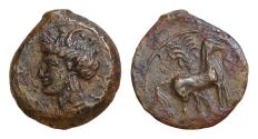 Ancient Coins - CARTHAGE. c. 400-350 BC. Æ Unit 15,5mm, 2,6g,  Carthage mint. Wreathed head of Tanit left / Horse standing right; palm tree in background; to right, Good Very