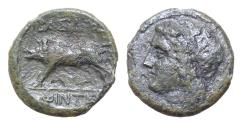 Ancient Coins - Sicily, Akragas, Bronze struck under Phintias, ca. 287-279 BC AE 20 mm  5,5g Wreathed head of Apollo l.boar standing
