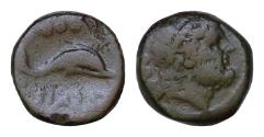 Ancient Coins - Northern Lucania, Paestum, Æ Quadrans 14mm, 3.47g  Diademed male head r. R/ Dolphin r.