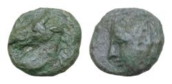 Ancient Coins - SICILY, Tyndaris. Circa 276-253 BC. Æ (13mm, 1.6g, ). Laureate head of Apollo left / Head of horse