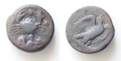 Ancient Coins - SICILY, Akragas. c. 425-410 BC. Æ Hemilitron or Hexonkion,. Eagle standing right, head raised, wings spread, on hare; cicada to right / Crab; below, triton right, blowing conch