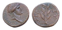 Ancient Coins - SELEUCIS & PIERIA. Antioch. Pseudo-autonomous. Time of Galba and Otho (68-69) AE14mm 3,6g Dated year 117 of the Caesarean Era (68/9) Head of Apollo right tainia ET ZIP Palm branch