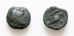 Ancient Coins - Sicily, Akragas. Tyrant Phintias. 287-279 B.C. AE 17 (17.3 mm, 4,1g, ). Laureate head of Zeus r. / Eagle flying r. clutching hare in talons.