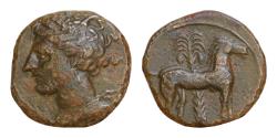 Ancient Coins - CARTHAGE. c. 400-350 BC. Æ Unit 15mm, 2,53g,  Carthage mint. Wreathed head of Tanit left / Horse standing right; palm tree in background; to right, Good Very
