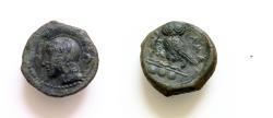 Ancient Coins - Sicily, Kamarina, c. 420-410 BC. Æ Tetras 15mm, 3.2g, . Head of Athena l., wearing crested Corinthian helmet. R/ KAMA (retrograde), Owl standing l., grasping lizard.