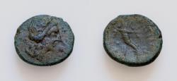 Ancient Coins - SICILY, Aitna. c. 208-205 BC. Æ Sextans (15mm, 2.7g,). Head of Persephone right, wearing wreath of grain ears / Filleted cornucopia.