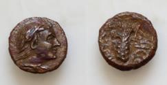 Ancient Coins - Lucania, Bronze, Metapontion, c. 300-250 BC AE 10,5 mm 1,2g. Head of Pan r., wearing wreath, and with goat-skin tied round neck, Rv. META, barley-ear with leaf to r. above, syrinx