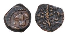 Ancient Coins - JUDAEA. John Hyrcanus I. 135-104 BCE. Æ Prutah 9.5mm, 1.3 g. Jerusalem mint. "Yehohanan the High Priest and the Council of the Jews" (classic-style paleo-Hebrew), palm branch /
