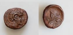 Ancient Coins - LUCANIA, Metapontion. Circa 300-250 BC. Æ 12mm, 1,6g Head of Apollo Karneios right / Three barley grains radiating from center; kerykeion, cross-torch, and fly between grains.
