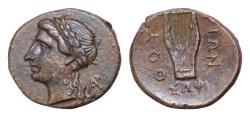 Ancient Coins - LUCANIA. Thourioi. Circa 280-213 BC. AE (Bronze, 16 mm, 2,9g, ), struck under the magistrate Sophi... Laureate head of Apollo to left; behind, monogram of AP. Lyre