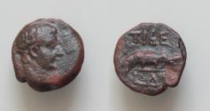 Ancient Coins - EGYPT, Alexandria. Tiberius. AD 14-37. Æ14mm 2,03g. Dated RY 4 (AD 17/8)  Dichalkon, Laureate head right / Crocodile right;  TIBE L Δ (date) in exergue.  Extremely RARE