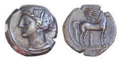 Ancient Coins - CARTHAGE. c. 400-350 BC. Æ Unit 15mm 2,5g,  Carthage mint. Wreathed head of Tanit left / Horse standing right; palm tree in background; to right, Very Fine