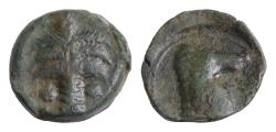 Ancient Coins - Zeugitania, Carthage; Sicilian mint, c. late 4th - early 3rd cent. BC, AE 18mm 6g .Palm tree with two bunches of dates. Rx: Horse's head and neck r. Palm tree in high relief .