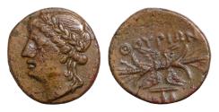 Ancient Coins - LUCANIA, Thourioi. Circa 280-213 BC. Æ (15mm, 2,53 g, ). Laureate head of Apollo left / Winged thunderbolt; monogram below. HN