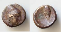 Ancient Coins - Greek  Uncertain Bronze coin  AE12mm 1,8g  (4th century BC). Obv: Helmetet head ???  ring . Rev: Grain ear . Very  Rare !