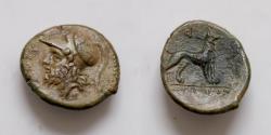 Ancient Coins - Sicily, Messana, The Mamertinoi, 264-241 BC. Æ Unit (19mm, 3.54g). Helmeted head of Adranos l. R/ Hound standing r.; Φ above.