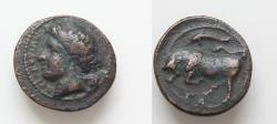 Ancient Coins - SICILY, Syracuse. Agathokles. 317-289 BC. Æ 18mm, 3,22 g,). Struck circa 317-310 BC. Wreathed head of Persephone left; dolphin  behind / Bull butting left; above and below, dolphin