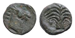 Ancient Coins - Zeugitania, Carthage; Sicilian mint, c. late 4th - early 3rd cent. BC, AE16mm 2,6g Palm tree with two bunches of dates.  Horse's head and neck r.Palm tree in high relief