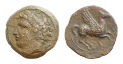 Ancient Coins - Sicily, Panormos as Ziz, c. 336-330 BC. Æ (14mm, 2.9g). Laureate head of Apollo l.; dolphin behind. R/ Pegasos flying r.