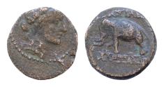 Ancient Coins - SELEUKID EMPIRE. Alexander I Balas. 152-145 BC. Æ (14mm, 2,7 g,). Antioch on the Orontes mint. Head of Dionysos right, wreathed with ivy / Horned elephant