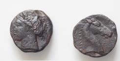 Ancient Coins - CARTHAGE. Shekel (Circa 300-264 BC).: Wreathed head of Tanit left.  Head of horse right.